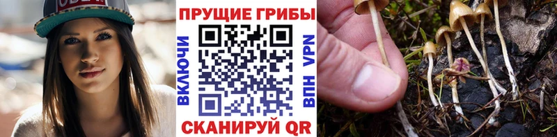 Галлюциногенные грибы GOLDEN TEACHER Кулебаки